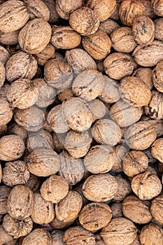 Overhead vertical closeup shot of a huge pile of walnuts displayed under the sun