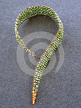 Overhead vertical shot of a neckless on a black surface