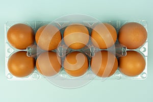 Overhead view of brown chicken eggs in an open egg box isolated on turquoise