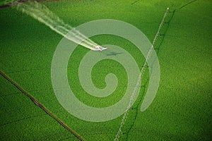 An overhead view of a crop duster spraying green farmland.