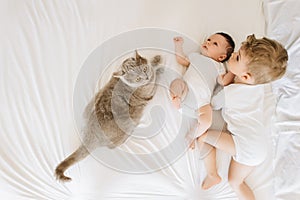 overhead view of cute little brothers in white bodysuits and grey cat lying on bed together