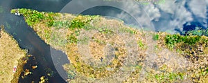 Overhead view of Florida Everglades Swamp - USA