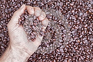 Overhead view of hand holding coffee beans