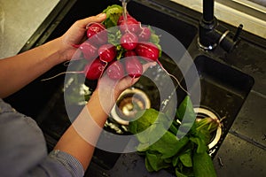Overhead view of the hands of housewife woman washing radish and greens in the sink, preparing healthy salad for dinner