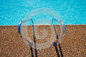 Overhead view of inviting aqua swimming pool steps