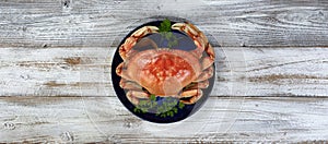 Overhead view of a single cooked large Dungeness crab on dark blue plate with white wooden table underneath