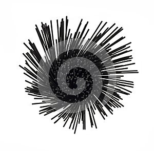 Overhead view of squid ink black spaghetti