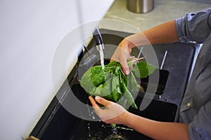 Overhead view of woman& x27;s hands washing fresh organic spinach leaves under flowing water in the kitchen sink.