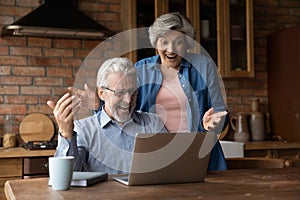 Overjoyed old retired family couple getting email with unbelievable news.