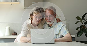 Overjoyed senior couple laugh hug before pc screen winning game