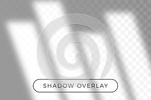 Overlay shadow of natural lighting in realism style with transparent shadow light effect overlay. Presentation your design card,