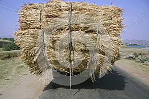 Overloaded truck, rajasthan