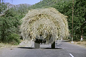 Overloaded truck, rajasthan