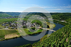 Overlook: A bend of the Moselle valley from the slopes of a vineyard