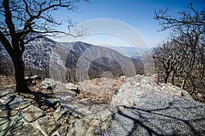 An overlook into the Blue Ridge Mountains along Skyline Drive in Shenandoah National Park during early spring with bare trees