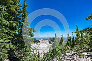 Selective focus of evergreens with distant view of Bumpass Hell hydrothermal area at Lassen Volcanic National Park photo