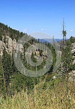 Overlook over the needles highway