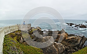 Overlook at Pigeon Point, California