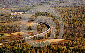 Overlook of a Train Travelling in the Immense Forest