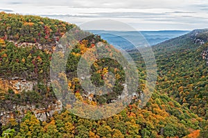 Overlook View At Cloudland Canyon State Park In Georgia