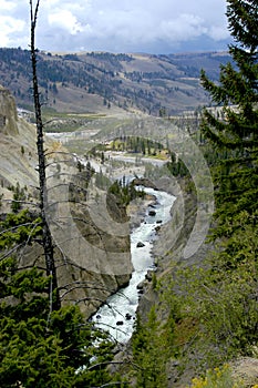 Overlook of the Yellowstone river in Yellowstone National Park, Wyoming.