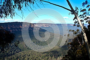 Overlooking the Blue Mountains national park in Australia