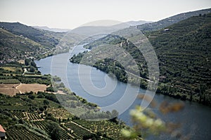 Overlooking the Douro River, located in the Douro Valley, Portugal.