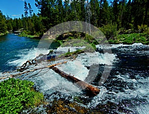 Overlooking the Fall River Falls