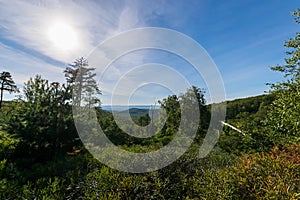 Overlooking Long Pine Reservoir in Michaux State Forest, Pennsylvania During Summer