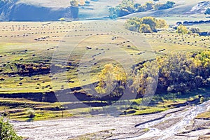 overlooking Nuanhe River autumn scenery