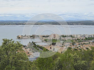 Oyster farms in inland sea