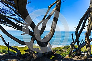 Overlooking the Pacific Ocean at Thornton State Beach, Daley City - San Francisco Bay Area, California