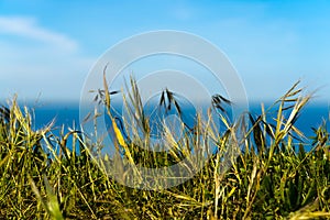 Overlooking the Pacific Ocean at Thornton State Beach, Daley City - San Francisco Bay Area, California