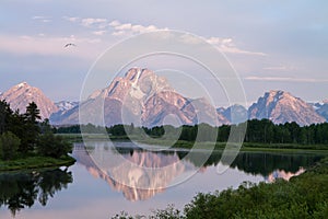 Overlooking Teton Mountains from Oxbow Bend Turnout
