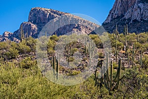 An overlooking view of nature in Tucson, Arizona