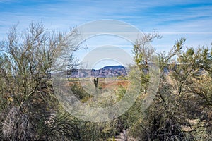 An overlooking view of nature in Yuma, Arizona