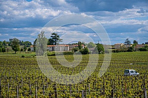 Overlooking a Vineyard in St Emilion