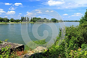 Rhine River Landscape from Ruins of Kaiserswerth Castle, Duesseldorf, North Rhine-Westphalia, Germany photo