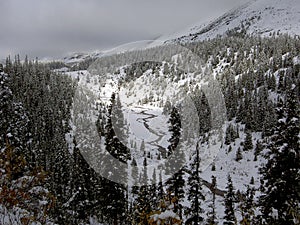 Durante la noche nevada 