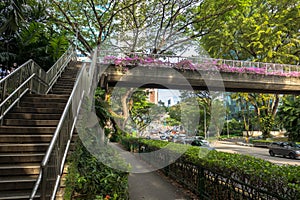 Overpass and Foilage - Singapore