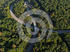 Overpass in the Woods