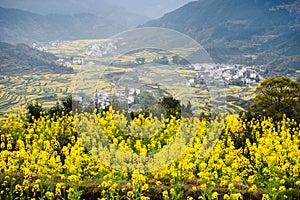 Overrall view of rural landscape in wuyuan county, jiangxi province, china