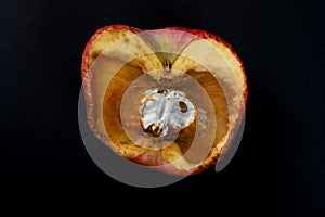 Overripe apple with rotten core on a black background