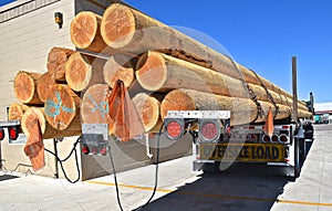 Oversize load of logs on a trailer