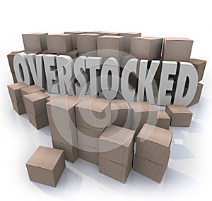 Overstocked Words Cardboard Boxes Warehouse Inventory