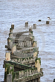 Overstrand - Groynes