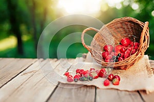 Overturned basket with various berries on a wooden terrace in the morning sun
