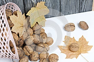 Overturned basket of walnuts. Dried maple leaves. Harvesting a new crop