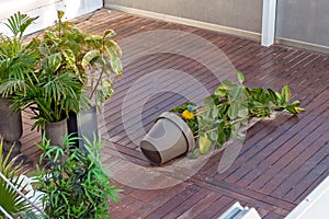 Overturned Plant Pot