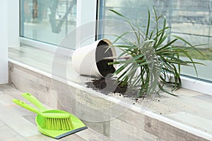 Overturned pot with plant on sill